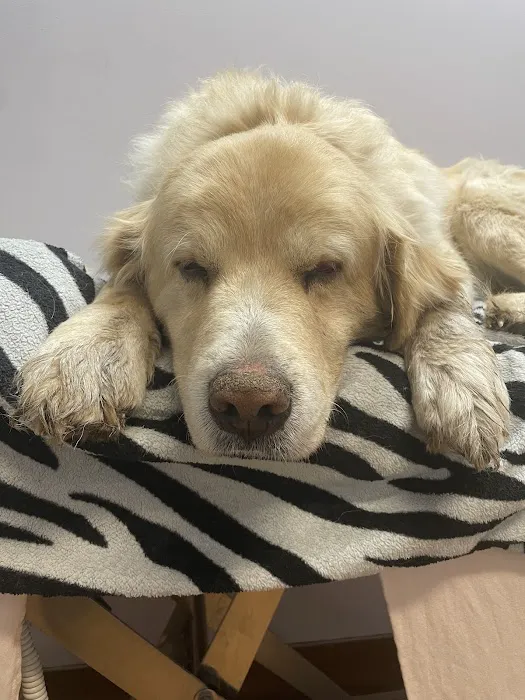 Emergency Animal Clinic Of Topeka Picture 2