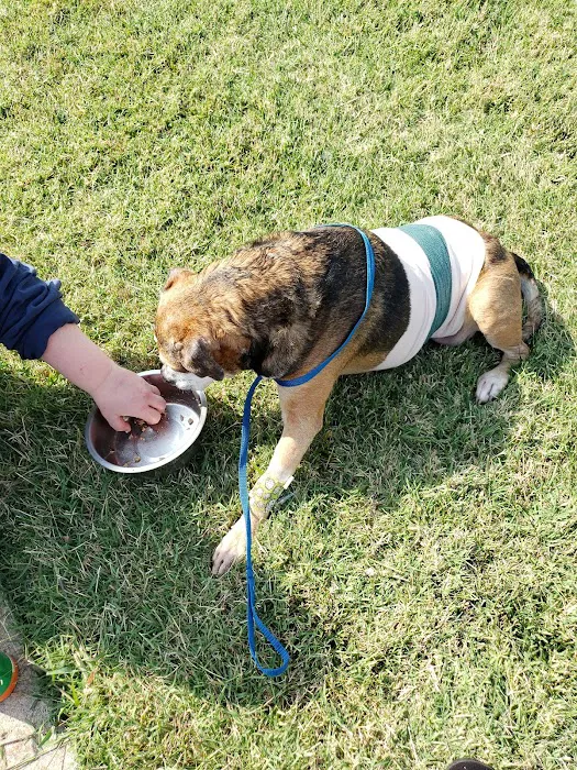 Emergency Animal Clinic Of Topeka Picture 3