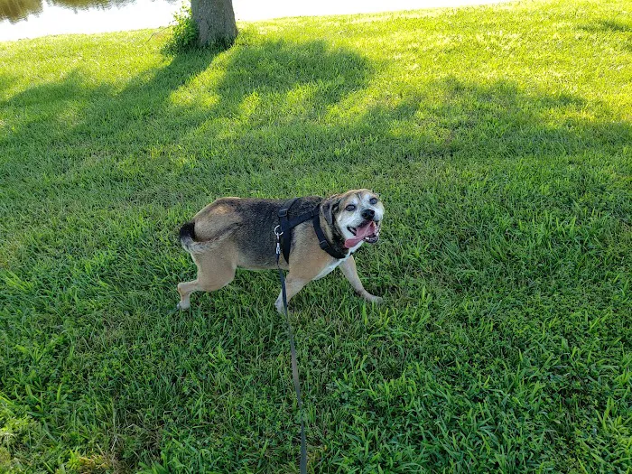 Emergency Animal Clinic Of Topeka Picture 5