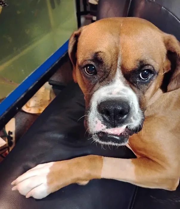 Emergency Animal Clinic Of Topeka Picture 6