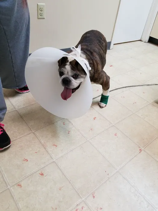 Emergency Animal Clinic Of Topeka Picture 8