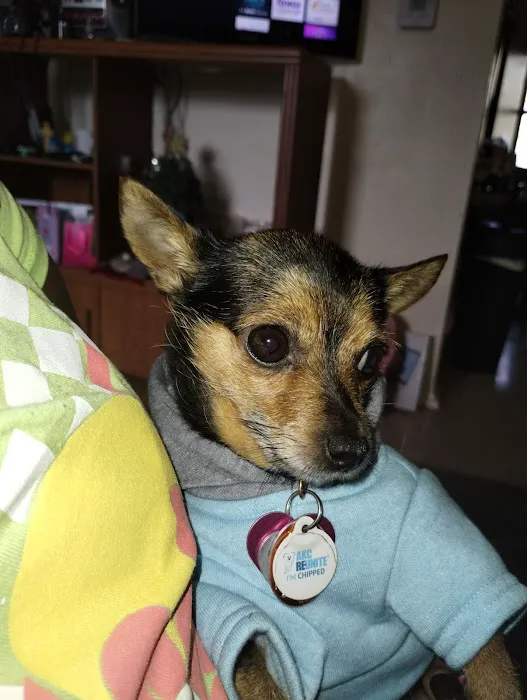 Emergency Animal Clinic Of Topeka Picture 7