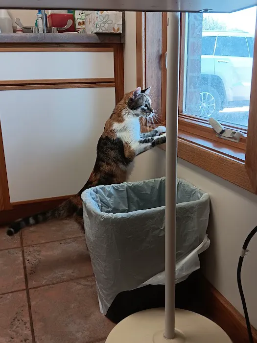 Companion Animal Clinic (Topeka, KS) Picture 4