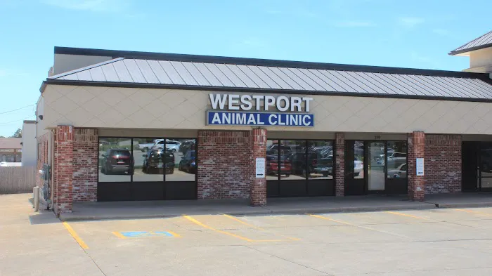 Westport Animal Clinic Picture 2