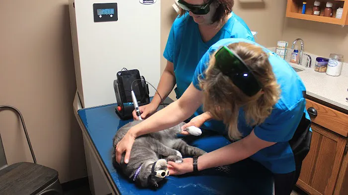 Westport Animal Clinic Picture 1