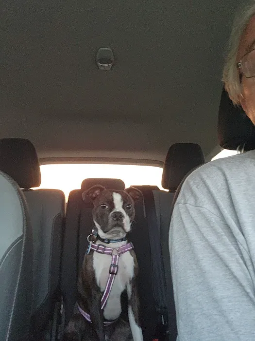 Westport Animal Clinic Picture 5