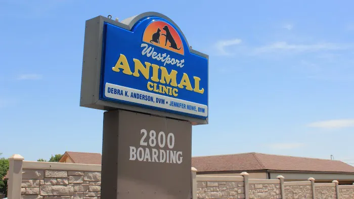 Westport Animal Clinic Picture 8