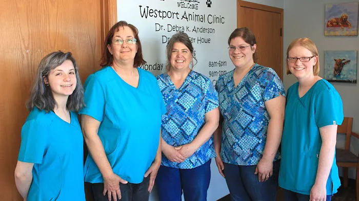 Westport Animal Clinic Picture 9