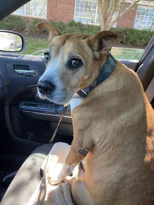 Bradford Pet Hospital Picture 2