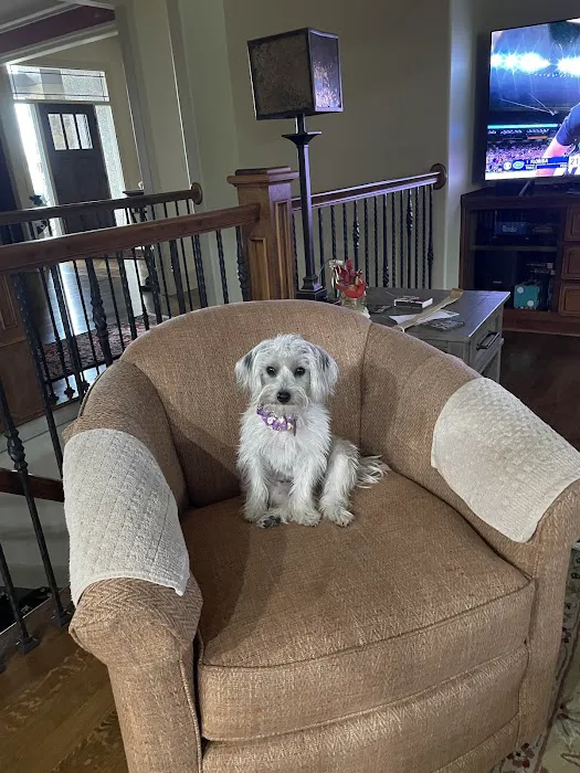 Bradford Pet Hospital Picture 3