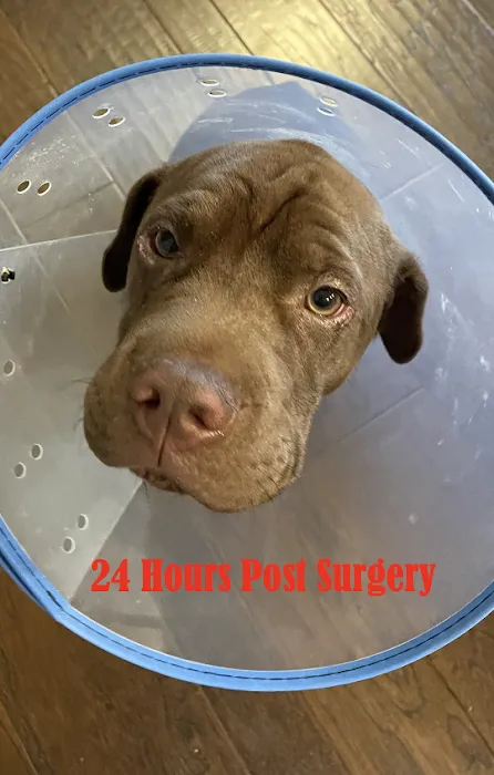 Bradford Pet Hospital Picture 7