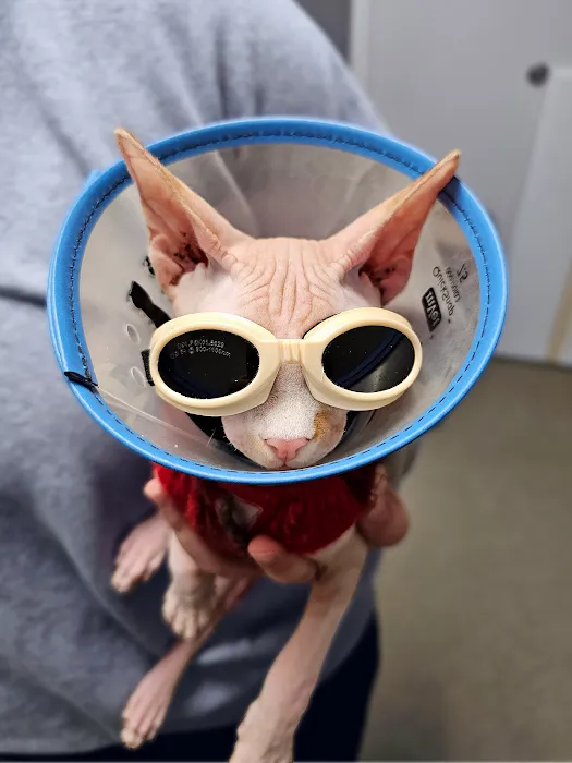 Bradford Pet Hospital Picture 9