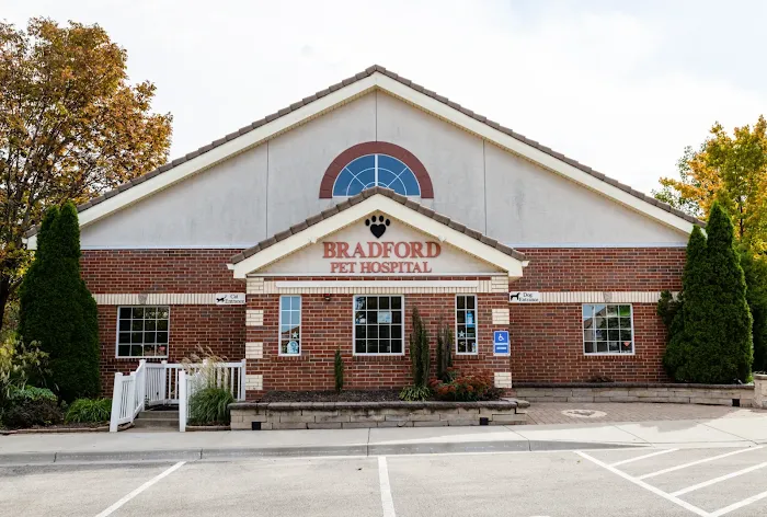 Bradford Pet Hospital Picture 10