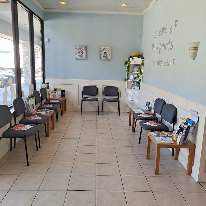 Vetco Total Care - SouthPaw Animal Clinic Picture 5