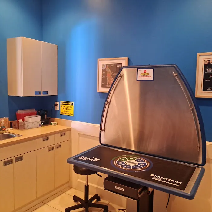 Vetco Total Care - SouthPaw Animal Clinic Picture 8