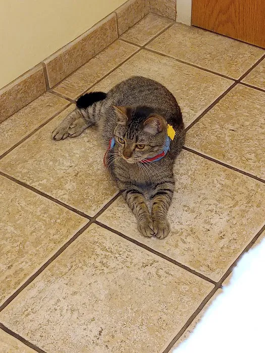 VCA Olathe Animal Hospital Picture 5