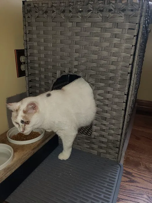 VCA Olathe Animal Hospital Picture 7