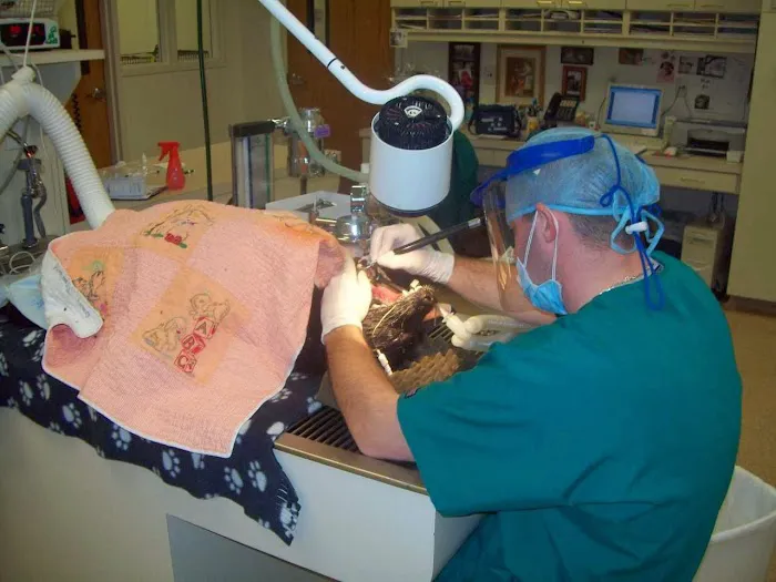 VCA Olathe Animal Hospital Picture 9