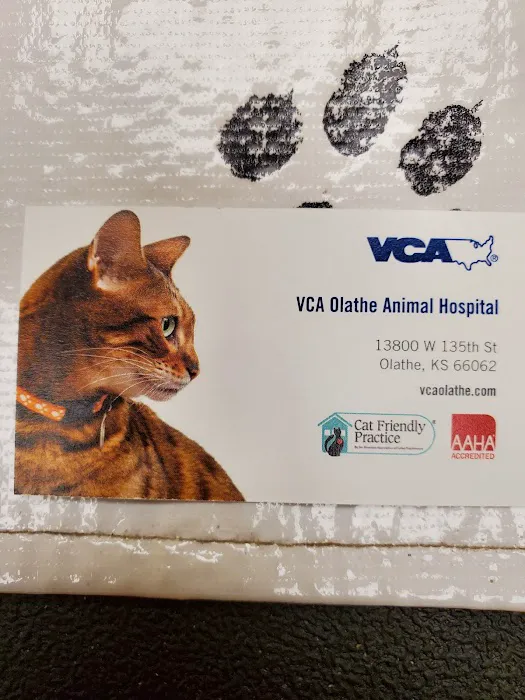 Olathe Animal Hospital: Burcham J C DVM Picture 1