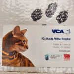 Olathe Animal Hospital: Burcham J C DVM