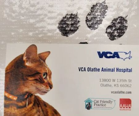 Olathe Animal Hospital: Burcham J C DVM