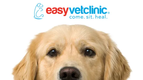 easyvet Veterinarian Overland Park Picture 1