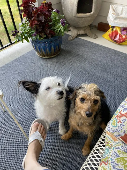 easyvet Veterinarian Overland Park Picture 6