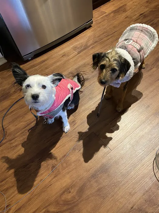 easyvet Veterinarian Overland Park Picture 7