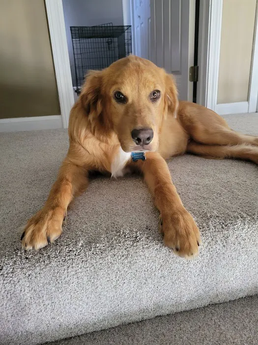 Companion Care Veterinary Clinic Picture 1