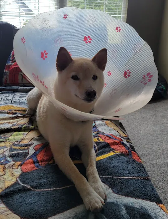 Companion Care Veterinary Clinic Picture 2