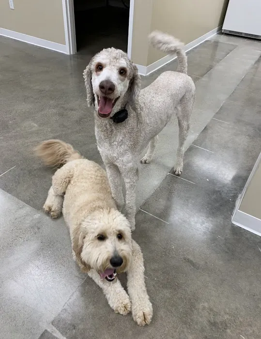 Companion Care Veterinary Clinic Picture 4