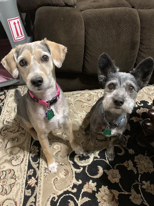 Companion Care Veterinary Clinic Picture 5