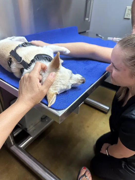 Arbor Creek Animal Hospital Picture 2