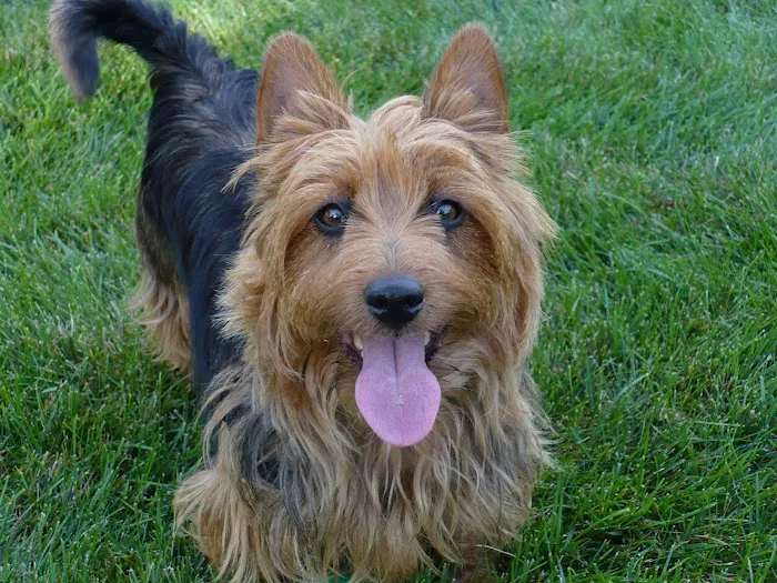 Arbor Creek Animal Hospital Picture 5