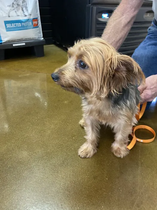 Arbor Creek Animal Hospital Picture 7