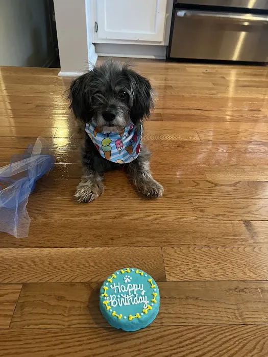 Arbor Creek Animal Hospital Picture 6