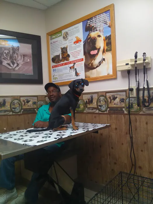 Mary Hughes, DVM Picture 1