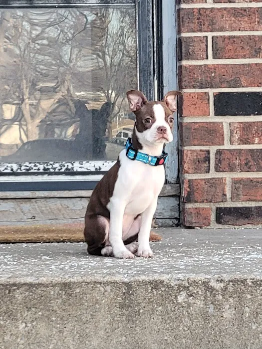 Heritage Animal Hospital Picture 1