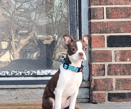 Heritage Animal Hospital