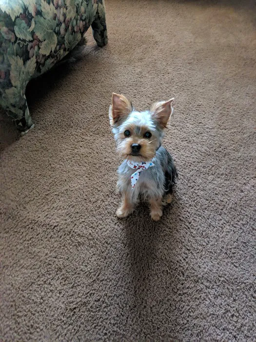 Heritage Animal Hospital Picture 2