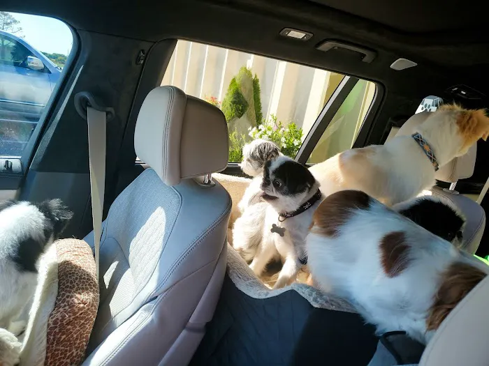 Heritage Animal Hospital Picture 5