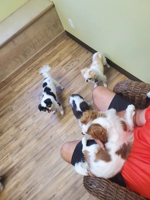 Heritage Animal Hospital Picture 4