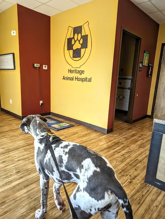 Heritage Animal Hospital Picture 6