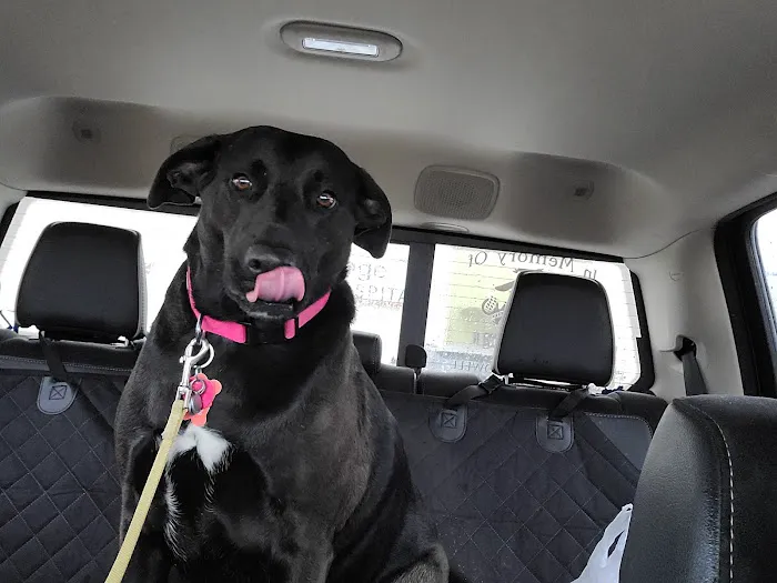 Heritage Animal Hospital Picture 7