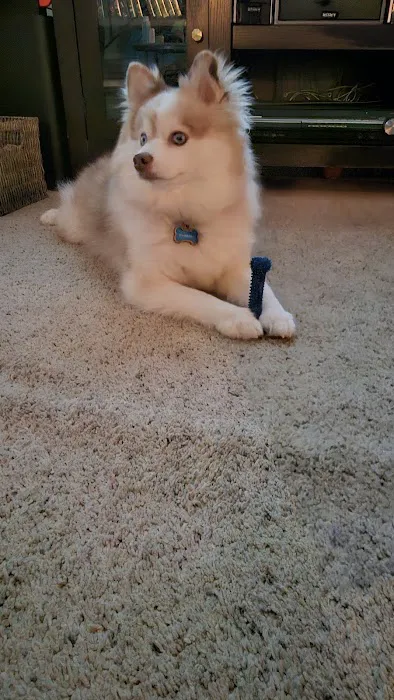 Heritage Animal Hospital Picture 9