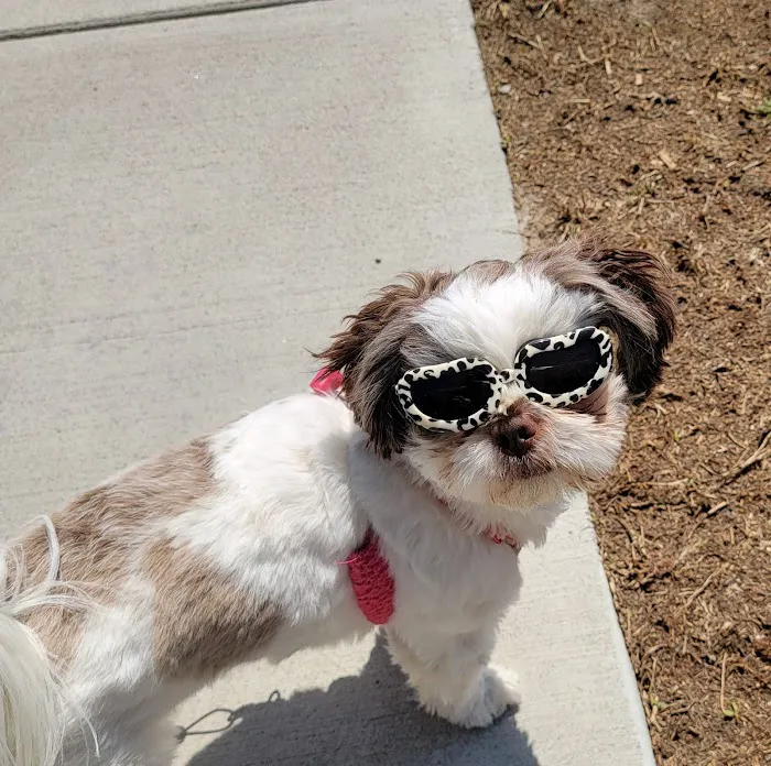 Heritage Animal Hospital Picture 10