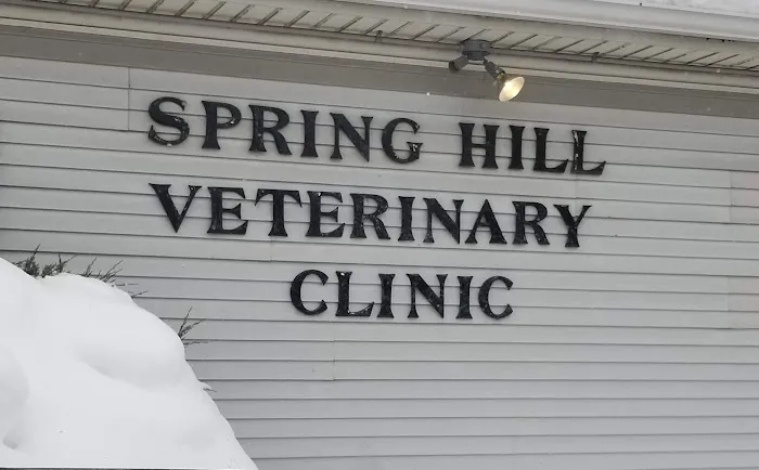 Spring Hill Veterinary Clinic Picture 1