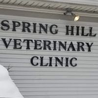 Spring Hill Veterinary Clinic ico