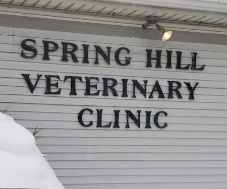 Spring Hill Veterinary Clinic
