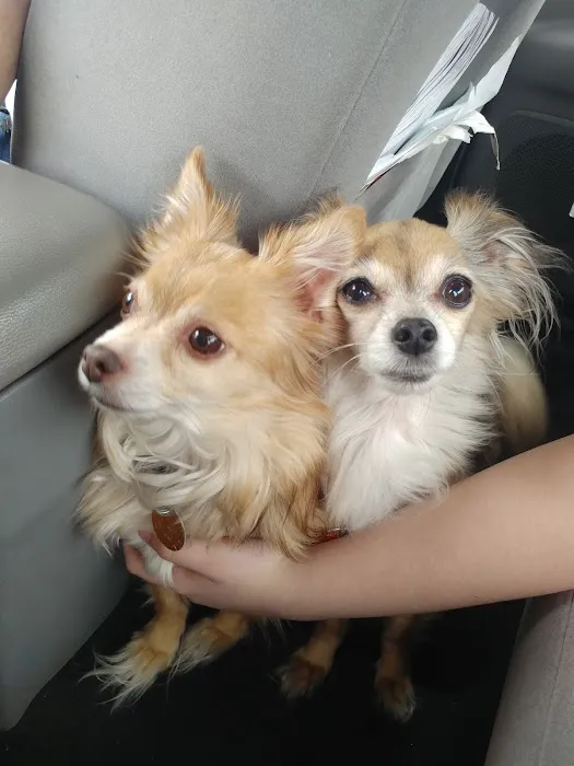 Spring Hill Veterinary Clinic Picture 2